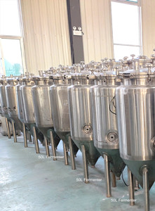 50L fermenter_副本.jpg