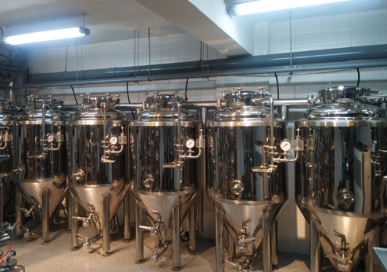 Pilot Brewery System