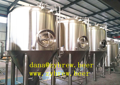 2000L fermenter