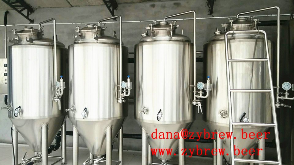 500L Brewery System