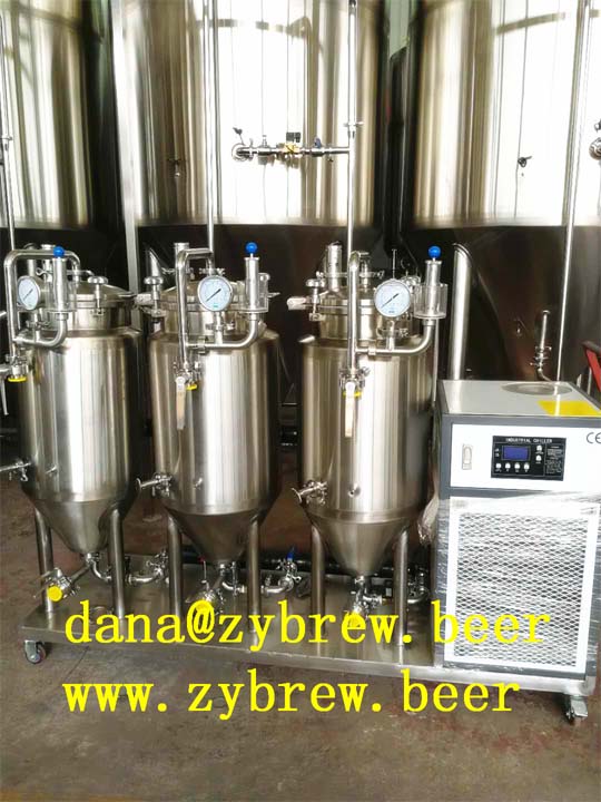 home brewing system