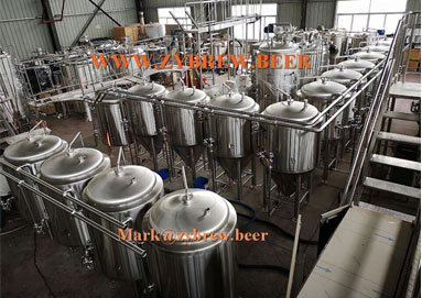 50L Fermenter 50L Fermenter