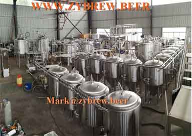 Beer Brewing Equipment