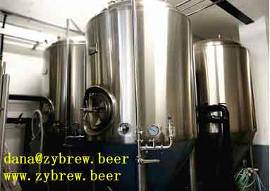 1000L Brewery System 1000L Brewery System