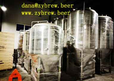 2000L Brewery System 2000L Brewery System