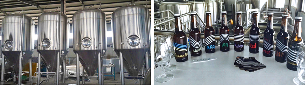 20HL Micro brewery Project-Sweden-2015.png