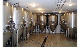 Prospects for Development of Small Brewed Beer Equipment