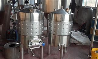 Recognized Beer Brewing Equipment