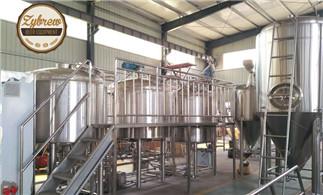 1000L Brewery System for Germany Market