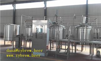 Complete 1000L Brewing Line