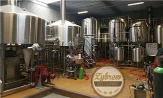 30HL Brewery System Installed in The Netherlands