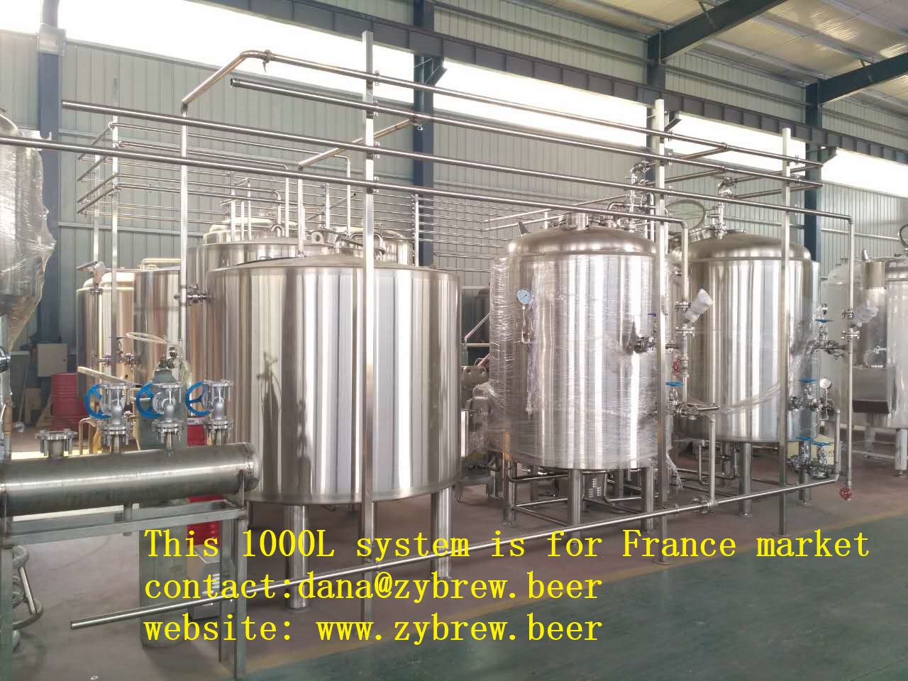 1000L Brewery System