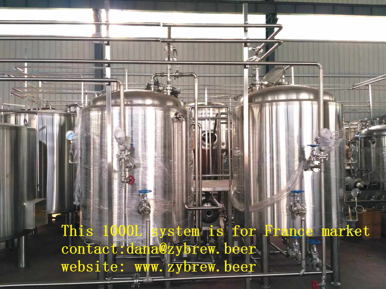 1000L Brewery System