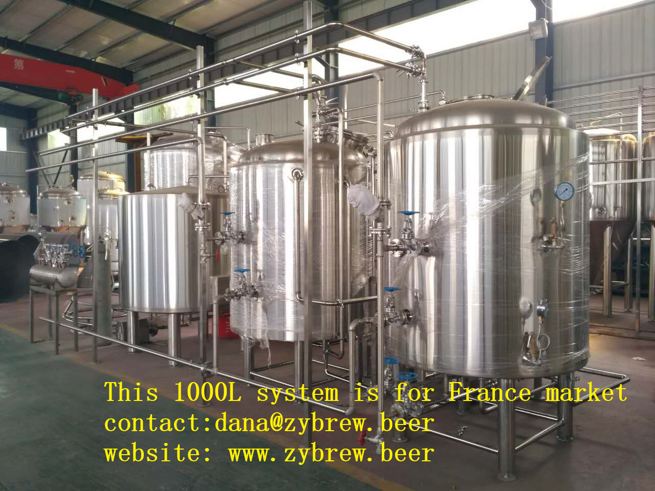 1000L Brewery System