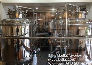 300L micro brewery system for Australia clients