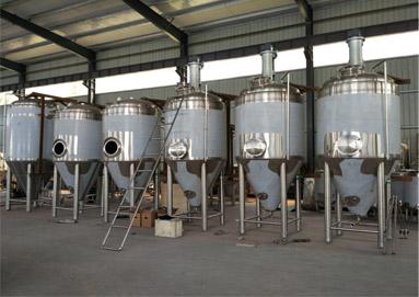 Why Choose Our Fermenters