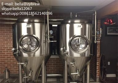 5BBL Brewery System for Canada Clients