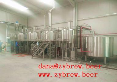To Install 20HL Micro Brewery In Kosovo