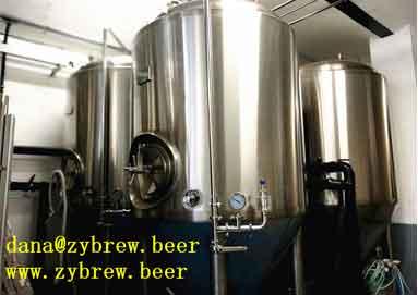 1000L Brewery System Installed In Germany