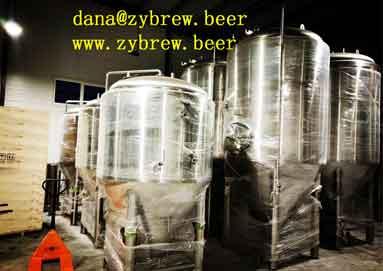 2000L Brewery System Installed In Romania