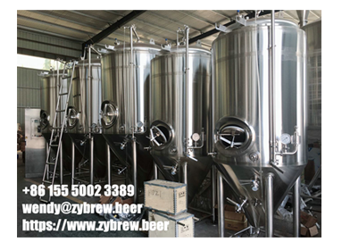 Special Design And Customized Micro Brewery System For North America Market