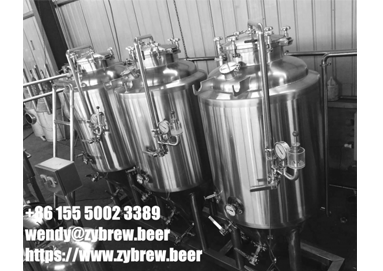 Full Set Of 3BBL Micro Brewery System For North America Market