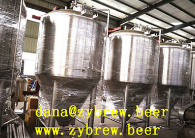 A 2000L Brewery System Is Installing In France