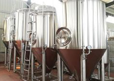 What are the Main Advantages of Fermentation Equipment?