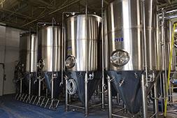 Medium / Large Size Fermenter