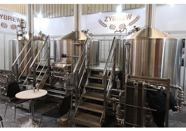 How to remove harmful substances during Brewing?