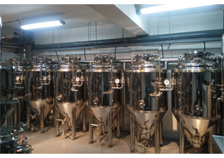 How long does it take to brew beer and how can I brew it faster?